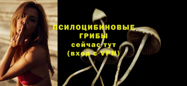 кристаллы Новокубанск