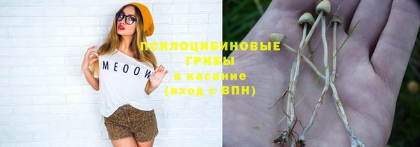 mix Осинники