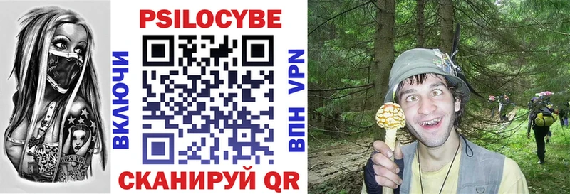 Псилоцибиновые грибы прущие грибы  где продают   мориарти Telegram  Кинель 