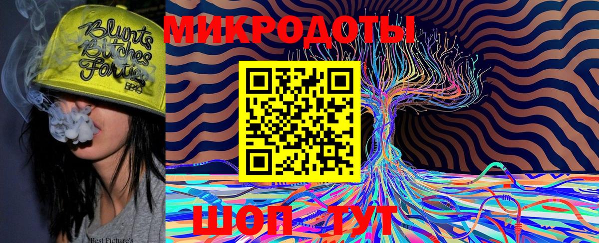 Псилоцибиновые грибы Psilocybine cubensis Кинель