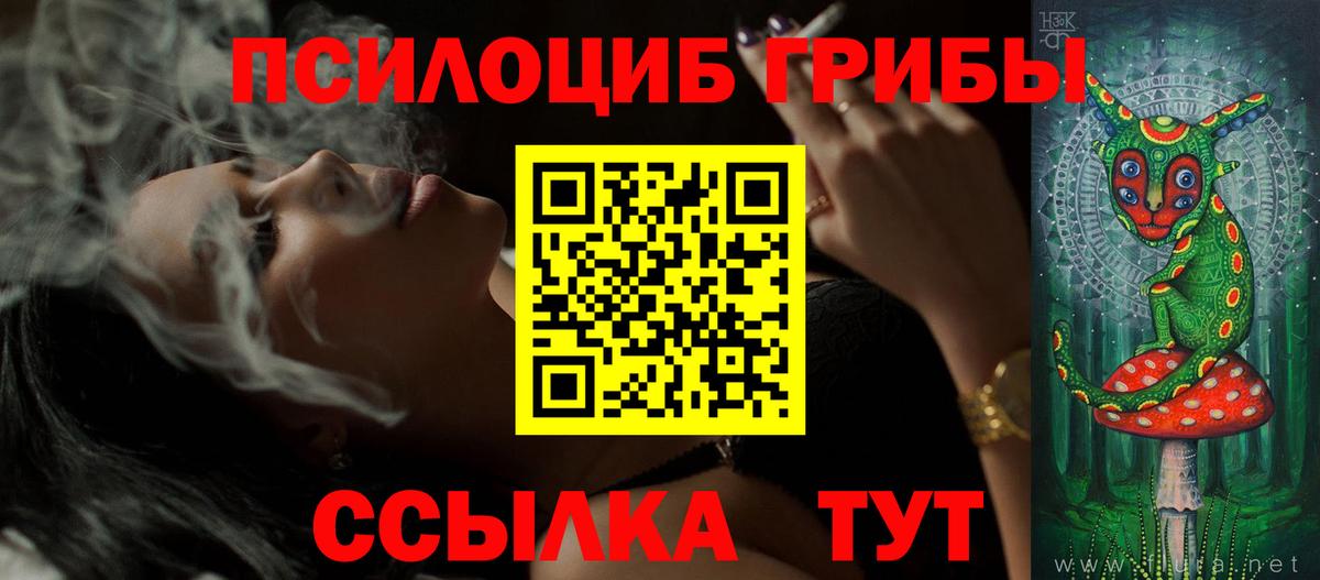 Кинель  Псилоцибиновые грибы GOLDEN TEACHER  Псилоцибиновые грибы MAGIC MUSHROOMS  Вход с VPN 